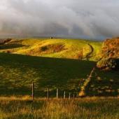 Kiwi Conservation Volunteer Project, New Zealand