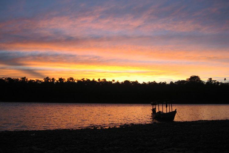 Sunset Peru reforestation
