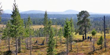 Geography and Climate