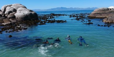 Volunteers swim out to sea, False Bay