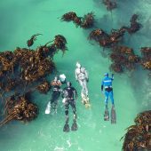 The Great African Sea Forest Marine Volunteer Programme, South Africa