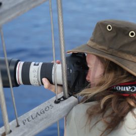 Volunteer taking photos of dolphins and whales in Italy