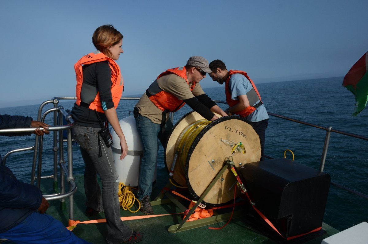 Lowering the hydrophone to record whale sounds