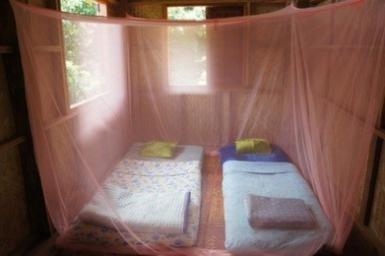 Thailand Volunteer Accommodation