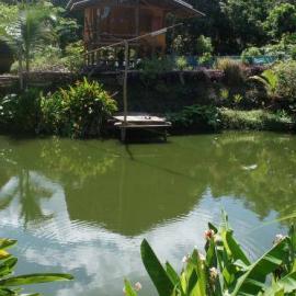 Elephant sanctuary in Thailand