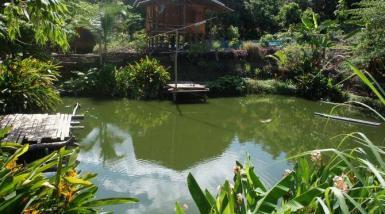 Elephant sanctuary in Thailand