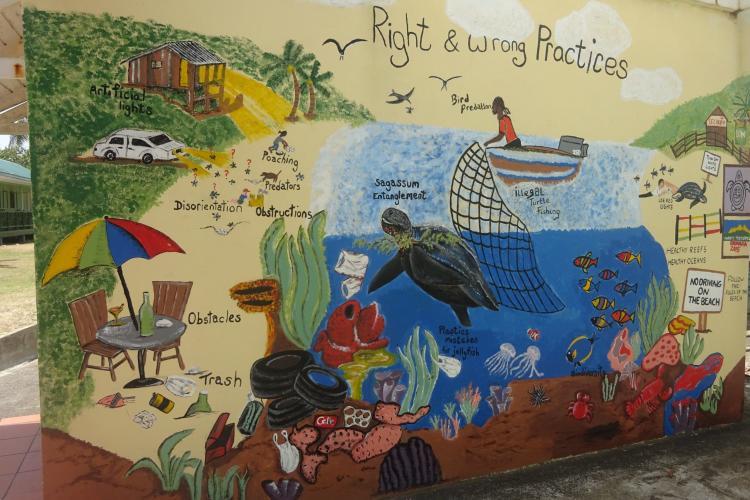 Wall painted with turtles by volunteers