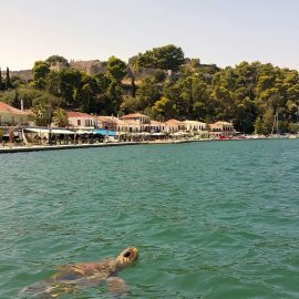 Loggerhead turtle in Greece