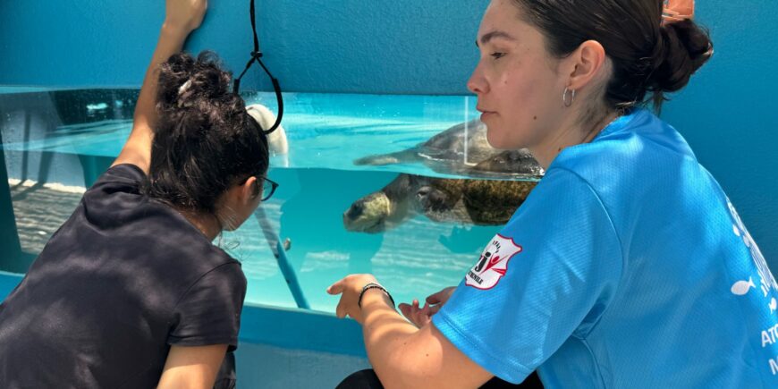 Turtle Rescue Family