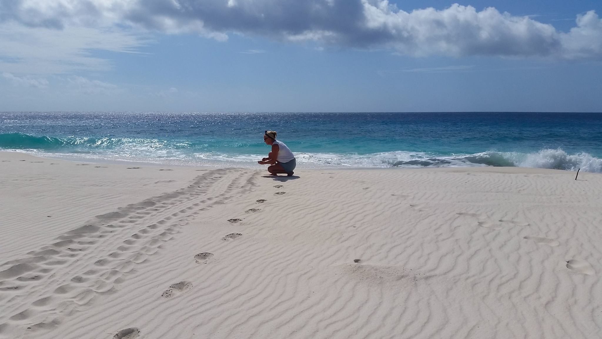 Turtle Tracking Seychelles