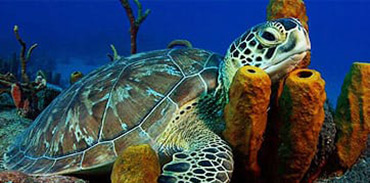 Working Abroad Blog Post