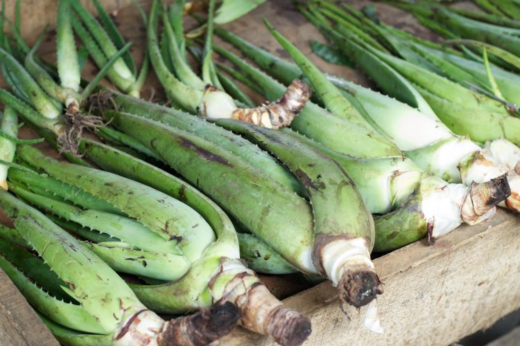 Vegetable produce Peru