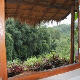 View from accommodation