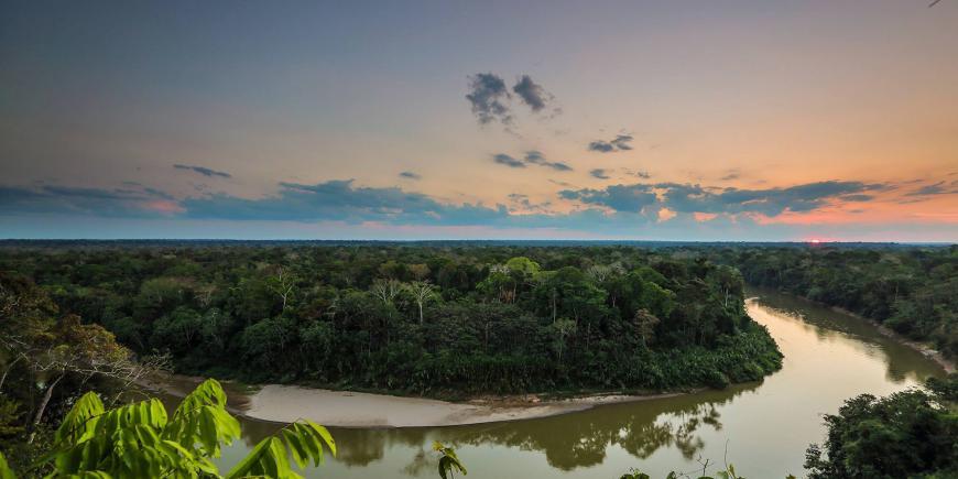 Volunteers view the sunset in the Peruvian Amazon