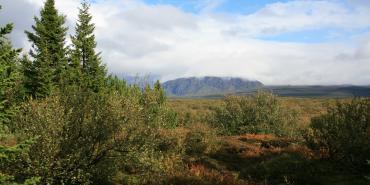 Beautiful National Park scenery in Iceland