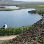 Reforestation Volunteer Project, Iceland