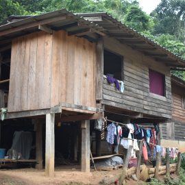 Thailand Elephants Accommodation