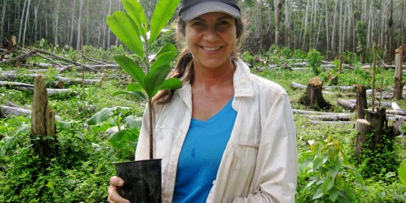 Volunteer with sapling peru