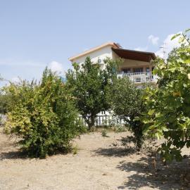 Volunteer house and garden in Argostoli