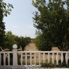 Garden of volunteer house in Greece