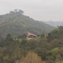 Volunteer house in forest in Portugal