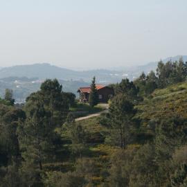 Wolf sanctuary lodging in Portugal