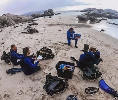 Volunteer meeting before scuba, False Bay