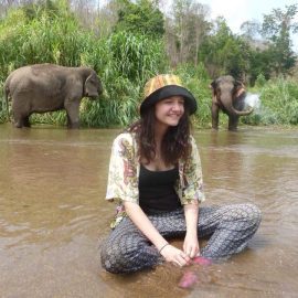 Volunteer watching elephant by the river in Thailand