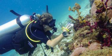 Main Conservation Threats