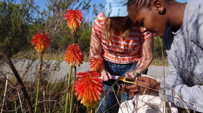 Ecology research volunteers in Nature's Valley