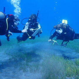 Volunteer Seagrass Surveys