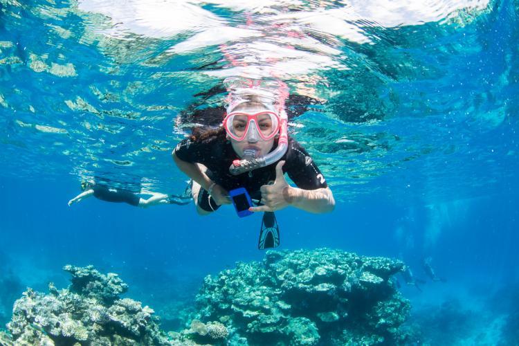 Snorkel volunteer underwater in Australia