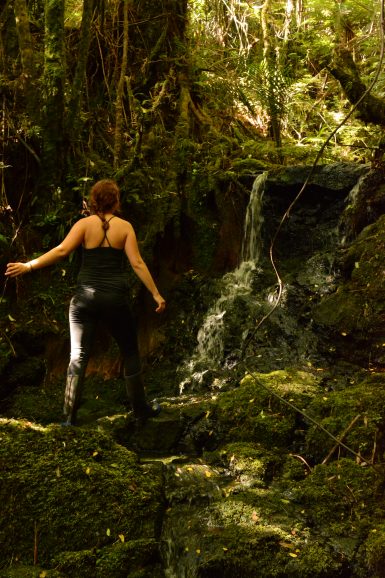 Volunteer walking in New Zealand forest