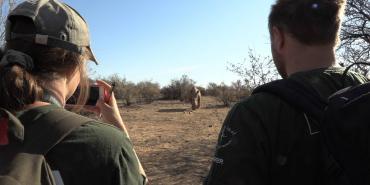 Actions to Support Wildlife Conservation: