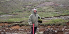 Volunteer planting saplings in Iceland