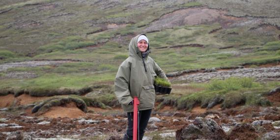 Volunteer planting saplings in Iceland