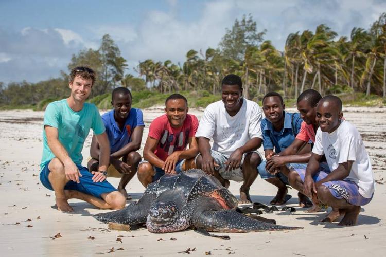 Volunteers with sea turtle on the beach