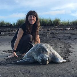 Volunteer with sea turtle at Hermosa