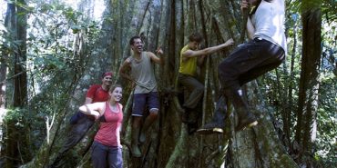 Take action for rainforests: