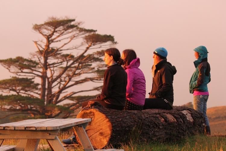 Volunteers at nature sanctuary in New Zealand