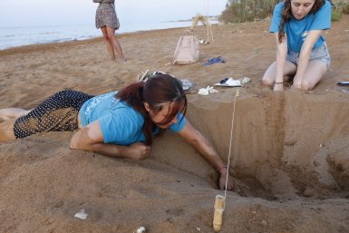Volunteer at sea turtle nest in Greece