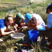 Nature’s Valley Conservation Education Volunteers, South Africa