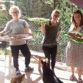 Celine Eninger, Germany