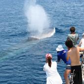 Malachi Shapiro, USA 16 yrs old