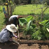 Jessica Bavington, UK