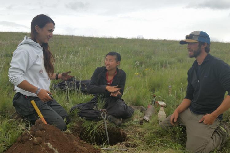 Volunteers working in Oregon in the USA
