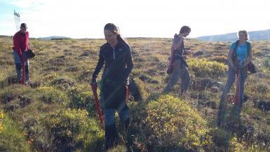 Volunteers tree planting in Iceland