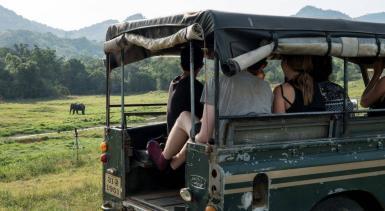 Volunteers observing from car