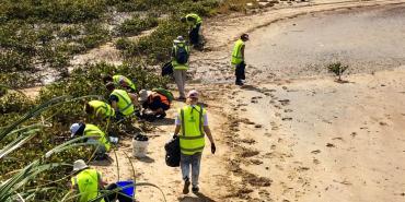 About Aotearoa New Zealand