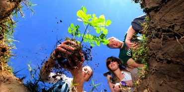 Volunteers planting a tree sapling at Shamwari